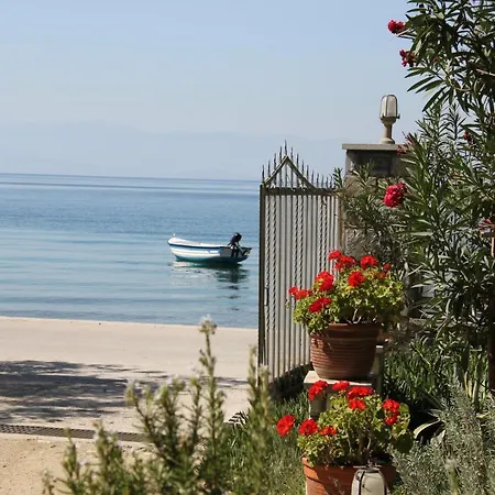 Platanofylla Pelion No11 بلاك كالا